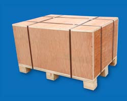 Plywood Pallet